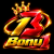 BONU1 Game Logo